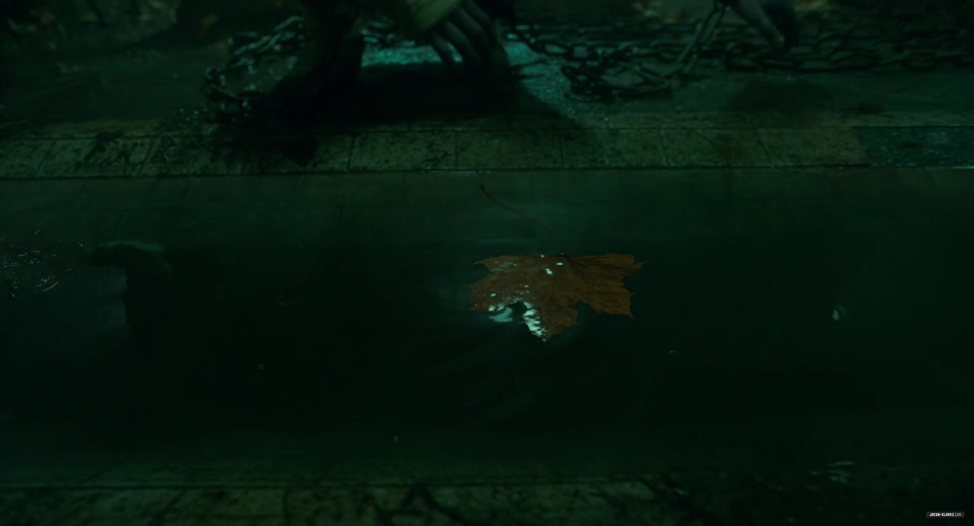 0564.jpg