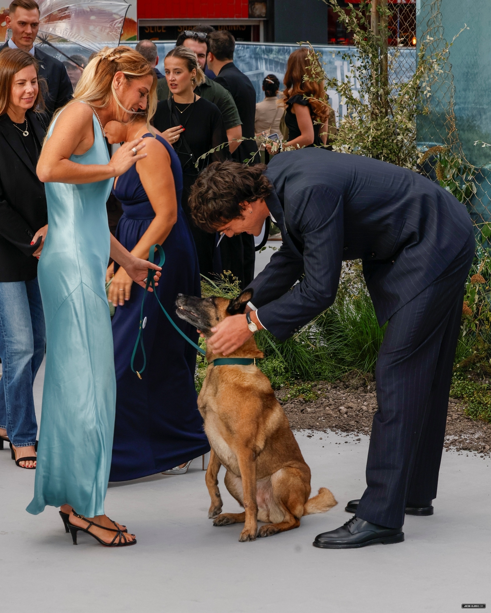 123.jpg