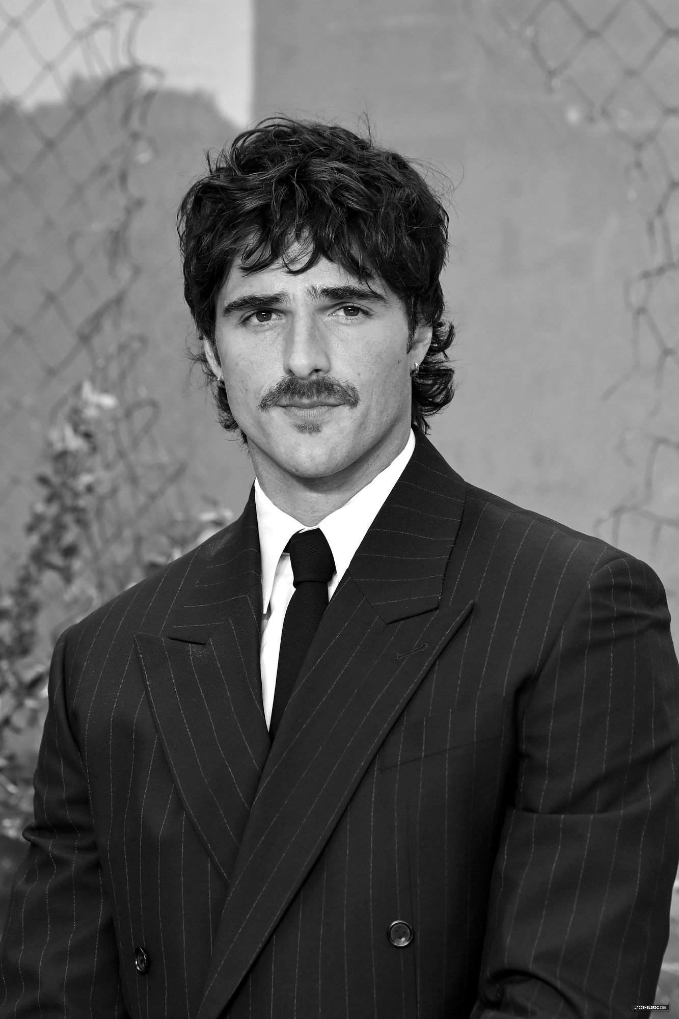 202.jpg