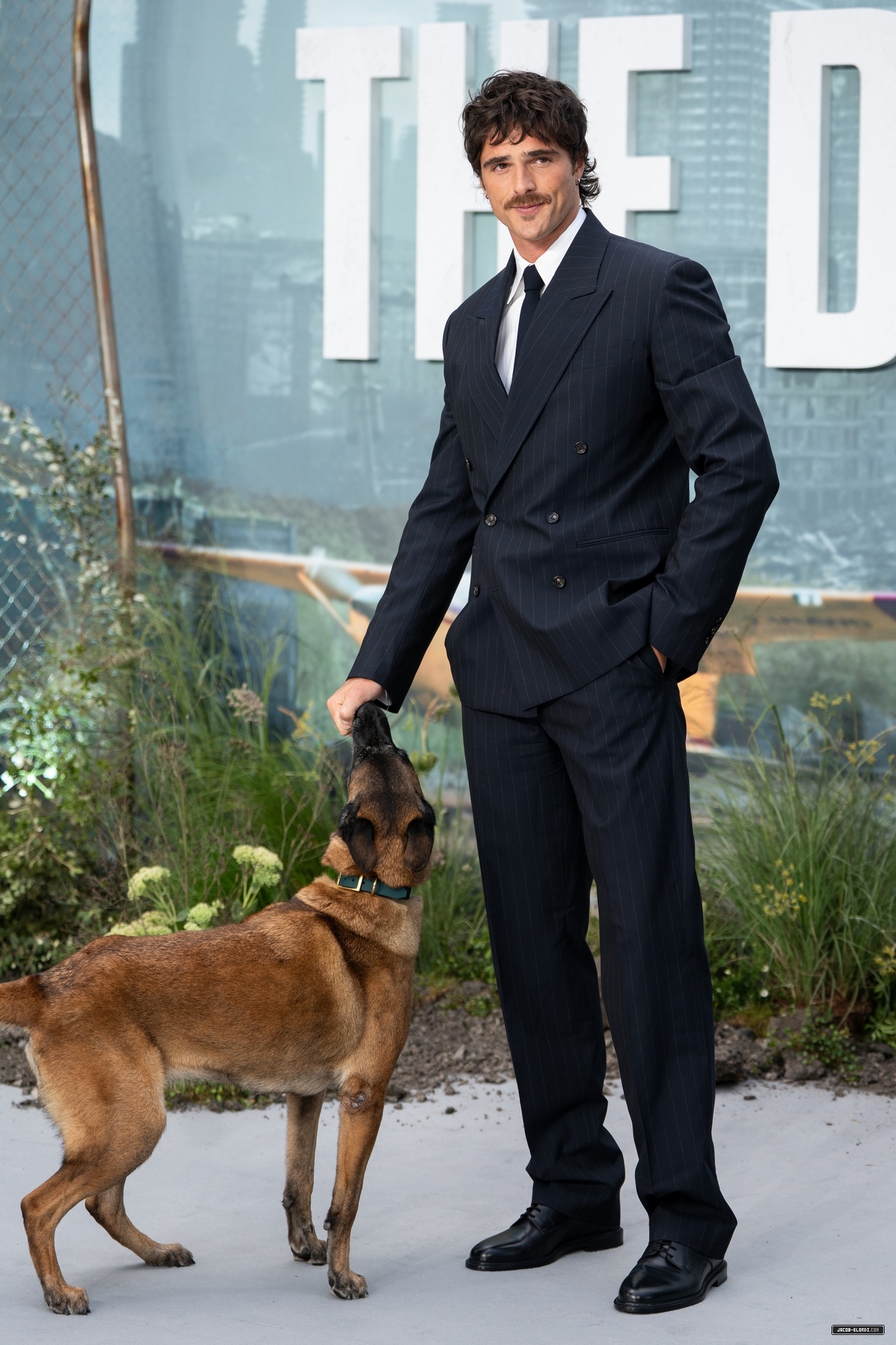 497.jpg