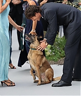 Filename=332.jpg
Filesize=922KiB
Dimensions=1333x2000
Date added=Aug 20, 2026 332.jpg