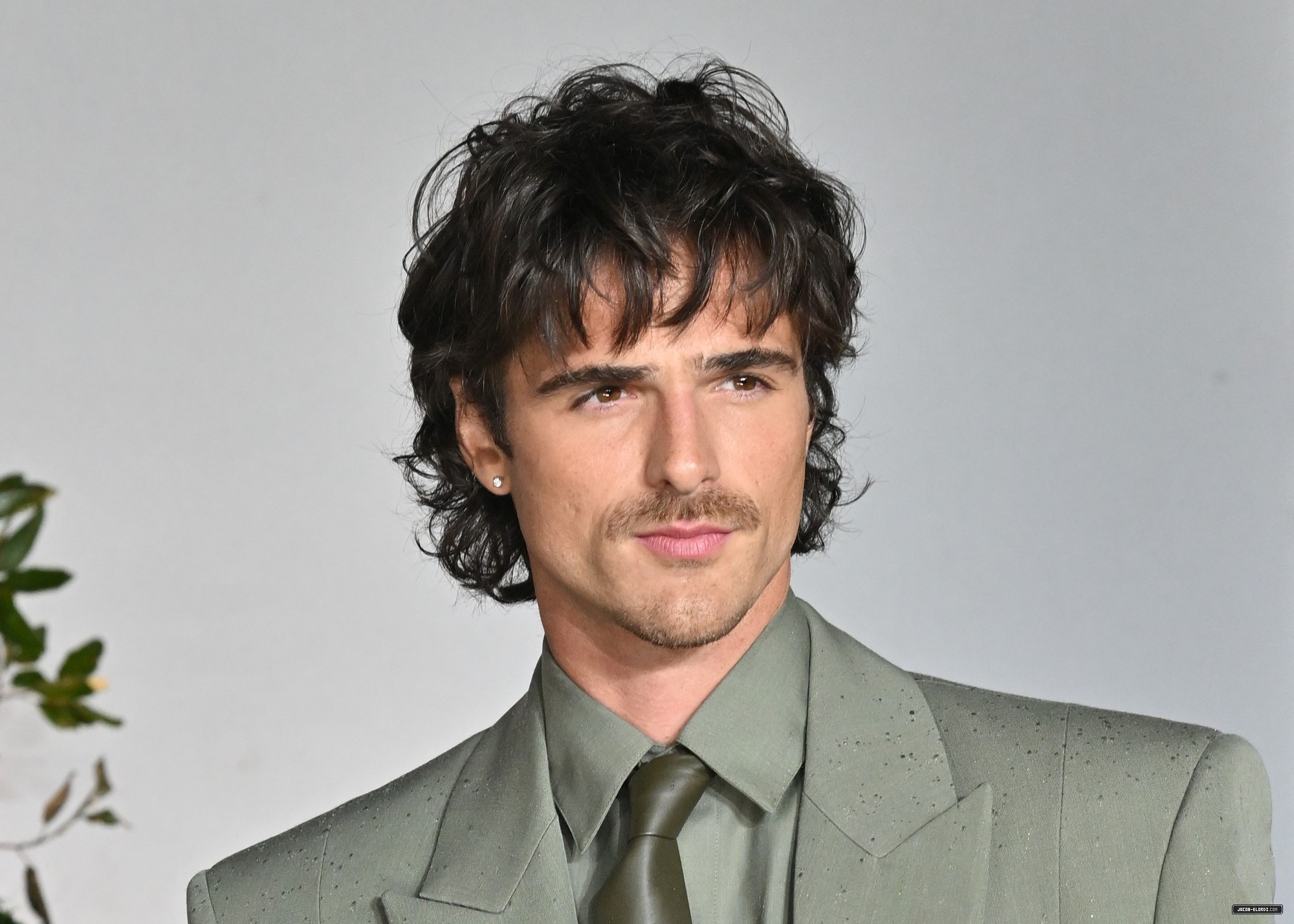 894.jpg