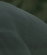 286.jpg